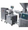 LINEA FRONTAL RS273 + WT05 SR RISCO